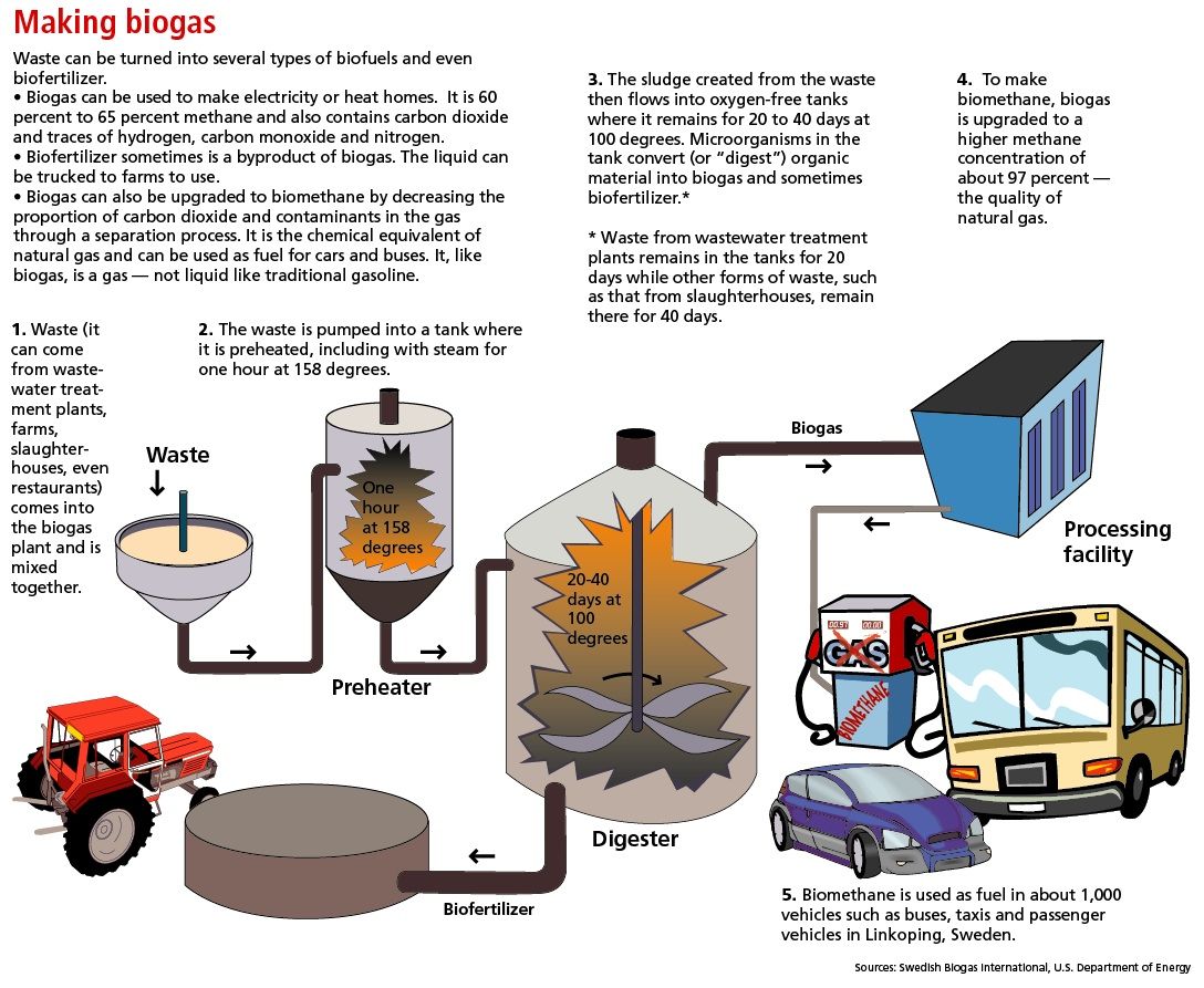 biogas system design